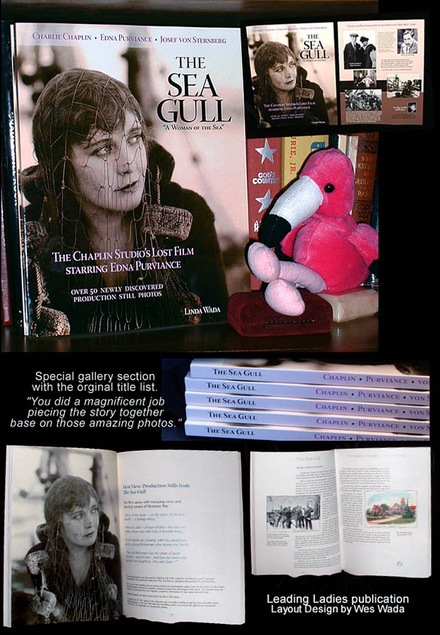 Sample images from Sea Gull